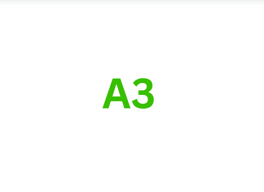 A3 (Feet)